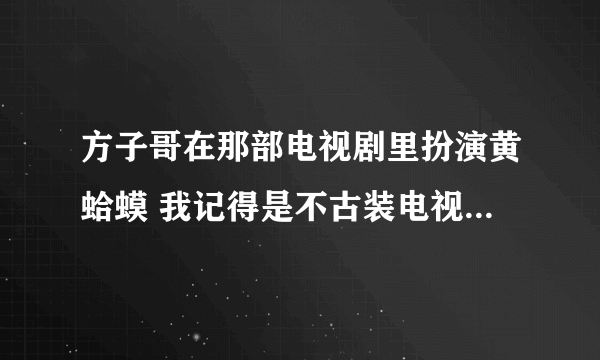 方子哥在那部电视剧里扮演黄蛤蟆 我记得是不古装电视剧 好像是方子哥