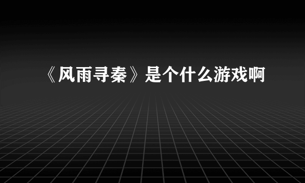 《风雨寻秦》是个什么游戏啊