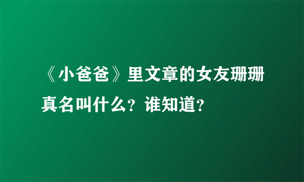 《小爸爸》里文章的女友珊珊真名叫什么？谁知道？