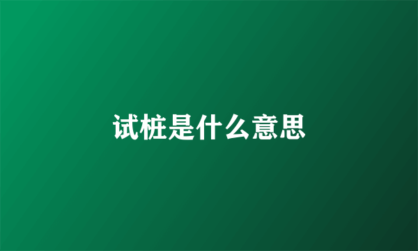 试桩是什么意思