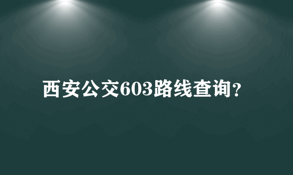 西安公交603路线查询？