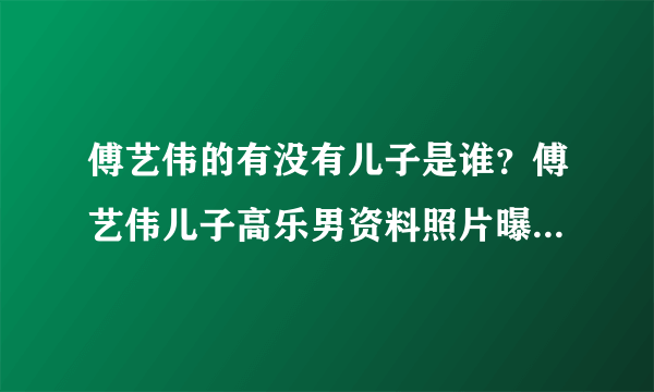 傅艺伟的有没有儿子是谁？傅艺伟儿子高乐男资料照片曝光_飞外网