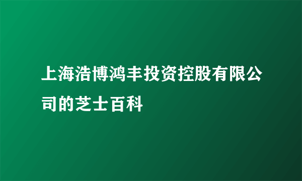 上海浩博鸿丰投资控股有限公司的芝士百科