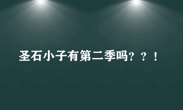 圣石小子有第二季吗？？！