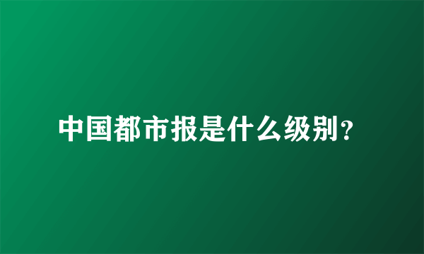 中国都市报是什么级别？