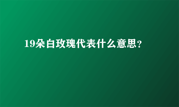 19朵白玫瑰代表什么意思？