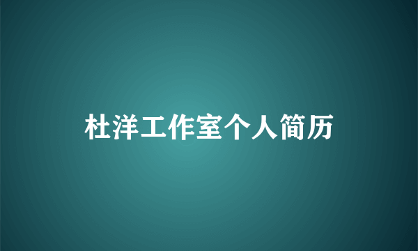 杜洋工作室个人简历