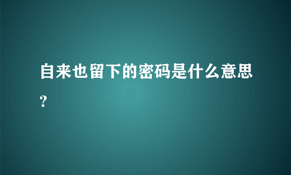 自来也留下的密码是什么意思？