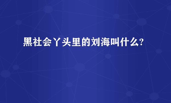 黑社会丫头里的刘海叫什么?