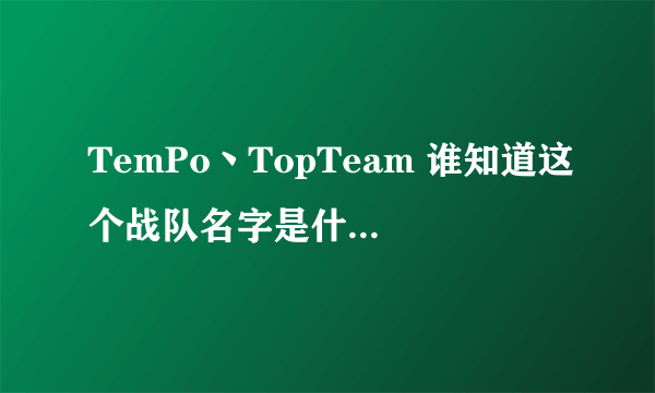 TemPo丶TopTeam 谁知道这个战队名字是什么意思？？？？？