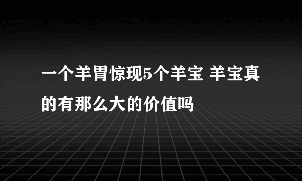 一个羊胃惊现5个羊宝 羊宝真的有那么大的价值吗