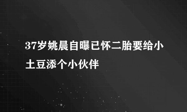 37岁姚晨自曝已怀二胎要给小土豆添个小伙伴