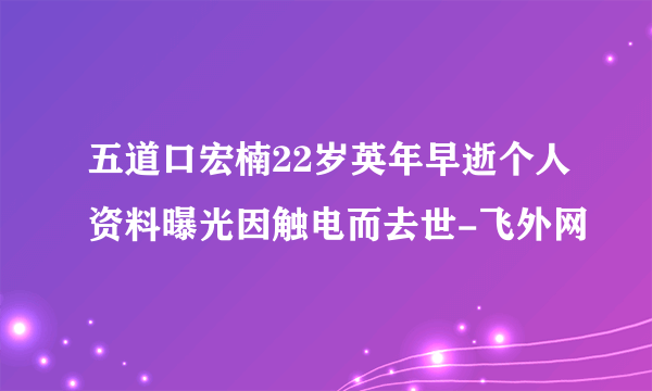 五道口宏楠22岁英年早逝个人资料曝光因触电而去世-飞外网