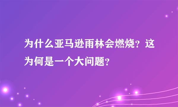 为什么亚马逊雨林会燃烧？这为何是一个大问题？