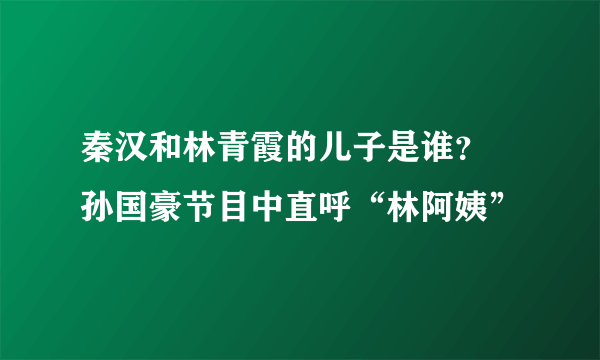 秦汉和林青霞的儿子是谁？ 孙国豪节目中直呼“林阿姨”