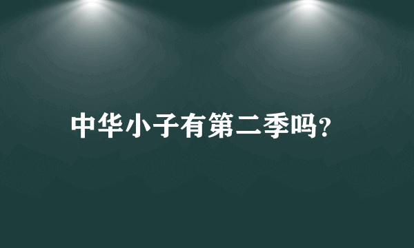 中华小子有第二季吗？