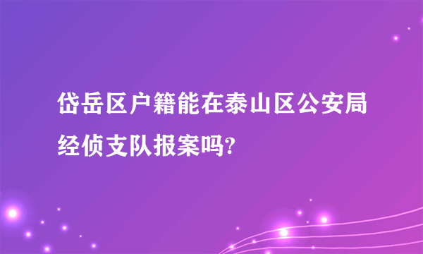 岱岳区户籍能在泰山区公安局经侦支队报案吗?