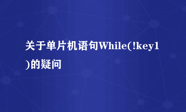 关于单片机语句While(!key1)的疑问