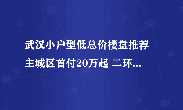 武汉小户型低总价楼盘推荐 主城区首付20万起 二环内首付45万