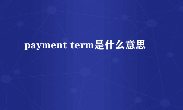 payment term是什么意思