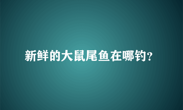 新鲜的大鼠尾鱼在哪钓？