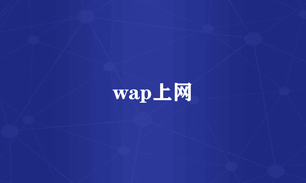 wap上网