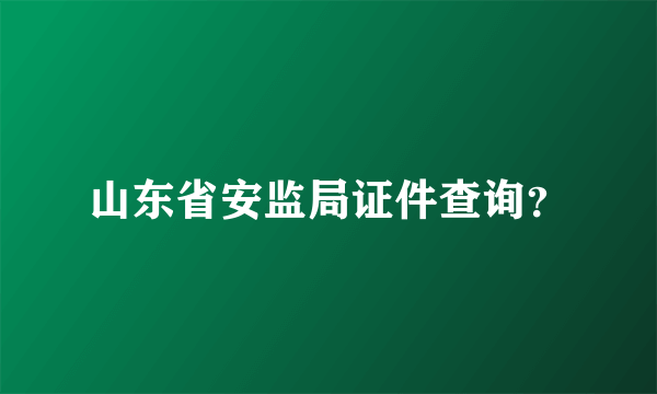 山东省安监局证件查询？