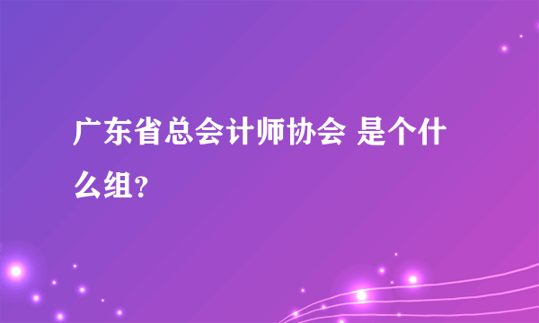 广东省总会计师协会 是个什么组？