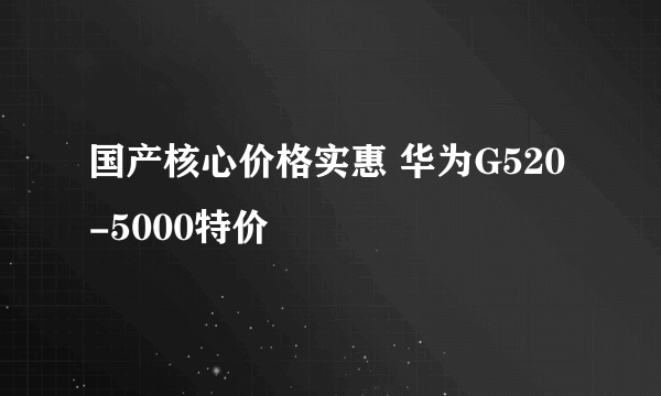 国产核心价格实惠 华为G520-5000特价