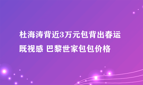 杜海涛背近3万元包背出春运既视感 巴黎世家包包价格