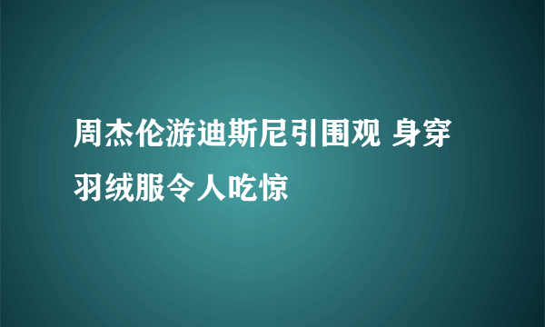 周杰伦游迪斯尼引围观 身穿羽绒服令人吃惊