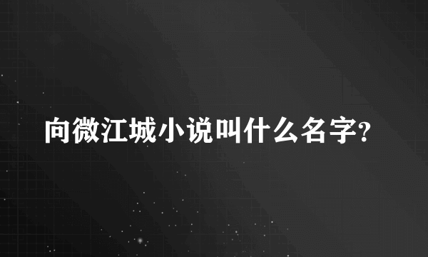 向微江城小说叫什么名字？