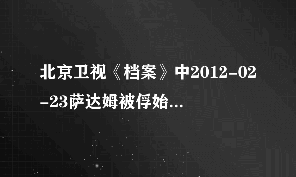 北京卫视《档案》中2012-02-23萨达姆被俘始末的那个讲员主持人叫什么。。。他是谁？