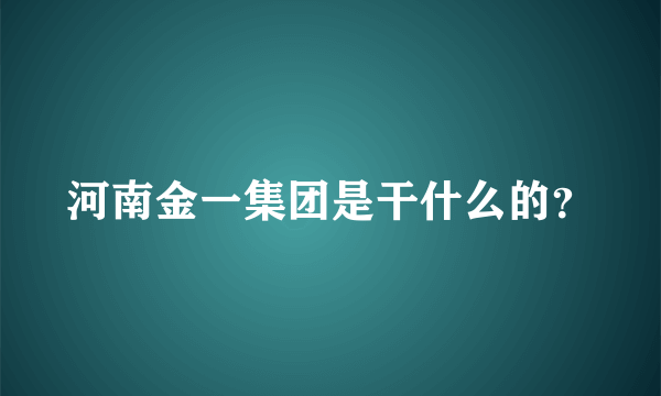 河南金一集团是干什么的？