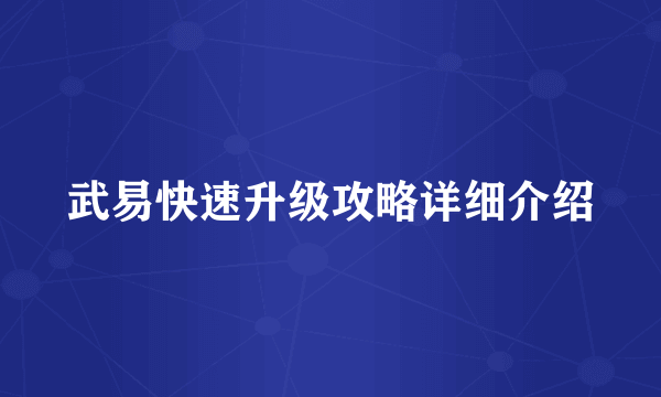 武易快速升级攻略详细介绍