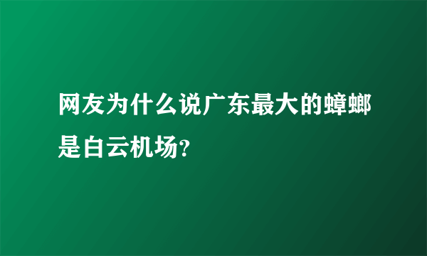 网友为什么说广东最大的蟑螂是白云机场？