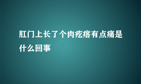 肛门上长了个肉疙瘩有点痛是什么回事