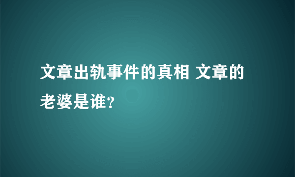 文章出轨事件的真相 文章的老婆是谁？