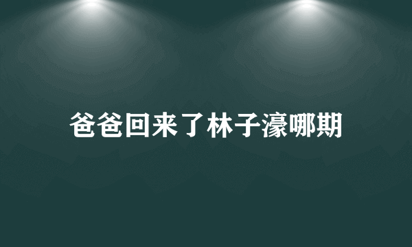 爸爸回来了林子濠哪期