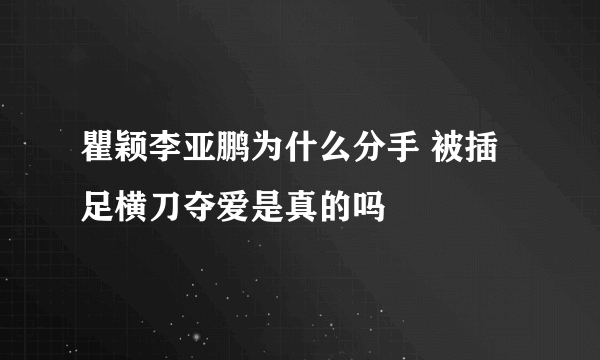 瞿颖李亚鹏为什么分手 被插足横刀夺爱是真的吗