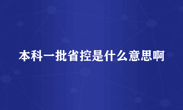 本科一批省控是什么意思啊