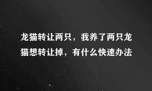 龙猫转让两只，我养了两只龙猫想转让掉，有什么快速办法