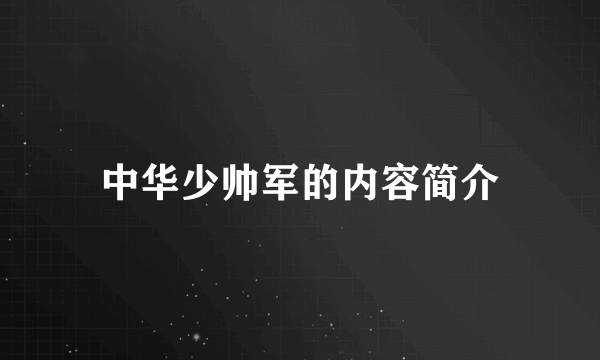 中华少帅军的内容简介