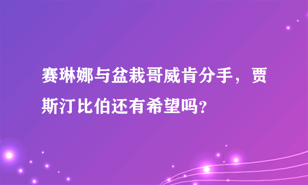 赛琳娜与盆栽哥威肯分手，贾斯汀比伯还有希望吗？