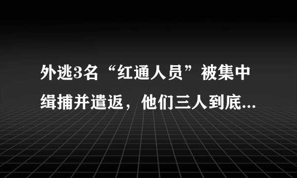 外逃3名“红通人员”被集中缉捕并遣返，他们三人到底是何身份？