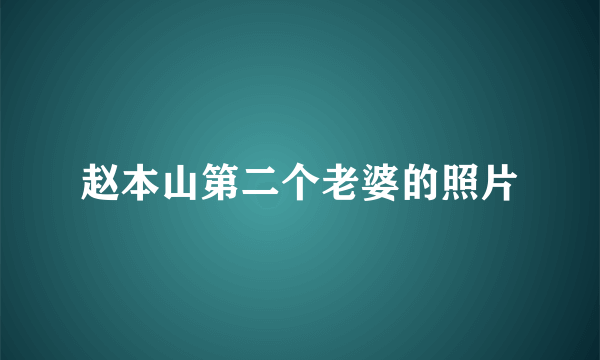 赵本山第二个老婆的照片