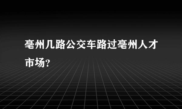 亳州几路公交车路过亳州人才市场？