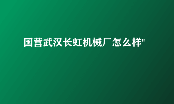 国营武汉长虹机械厂怎么样