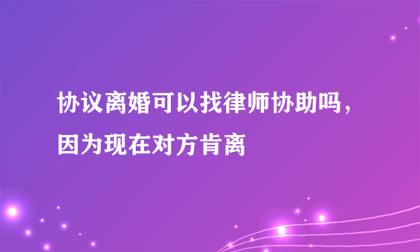 协议离婚可以找律师协助吗，因为现在对方肯离