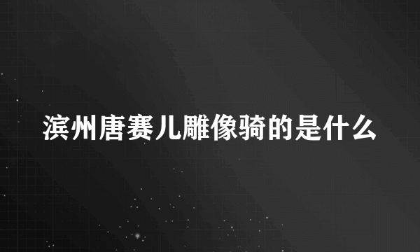 滨州唐赛儿雕像骑的是什么